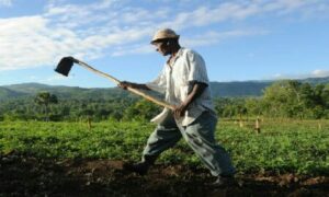 L’Etat haïtien et la production nationale : le discours de la production nationale est un faussé